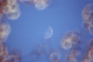 SMC PENTAX REFLEX ZOOM 400-600MM F8-12