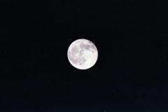 SMC PENTAX REFLEX ZOOM 400-600MM F8-12/業務用100