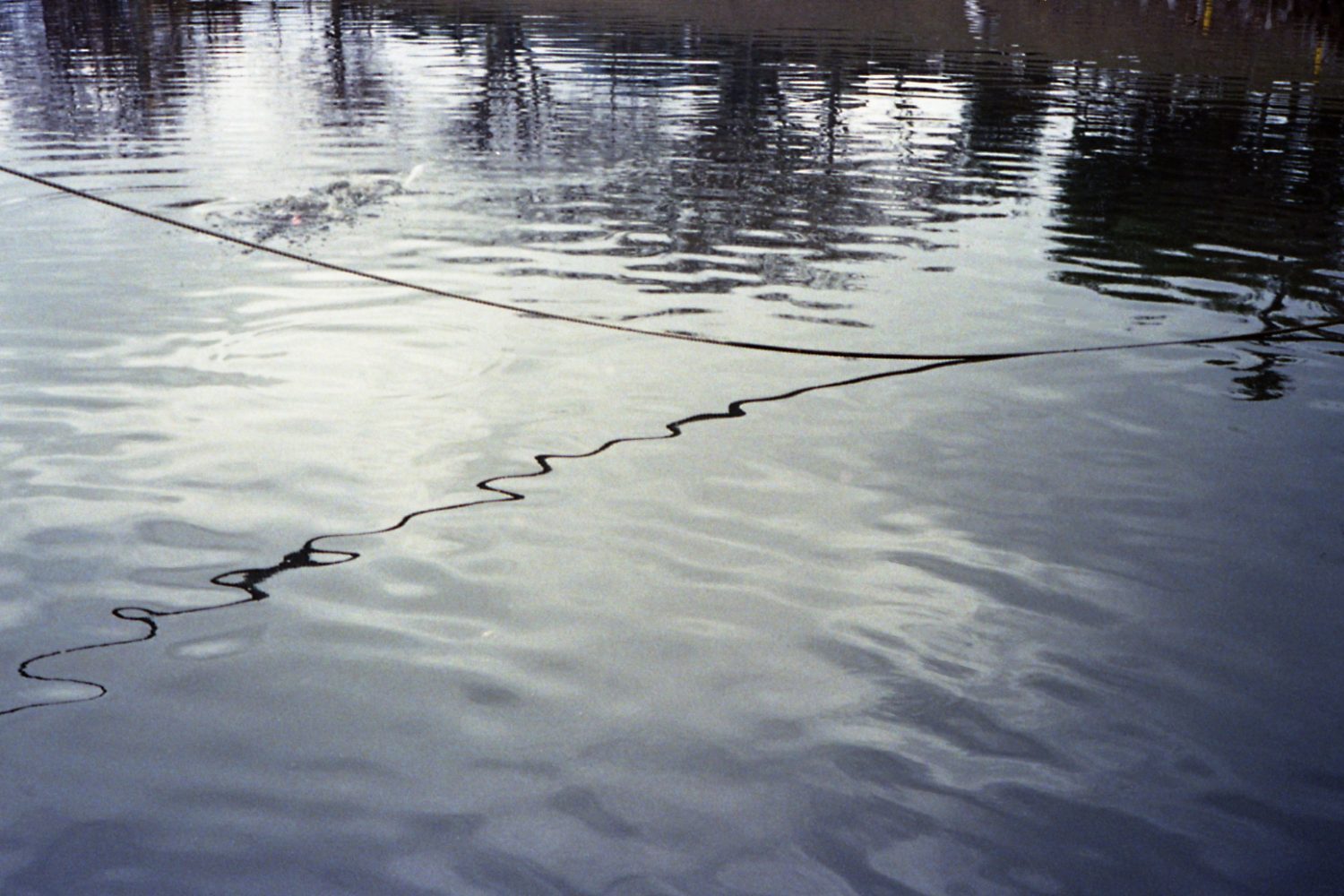 Rollei 35s /sonnar 40mm f2.8 /Kodak ultramax 400