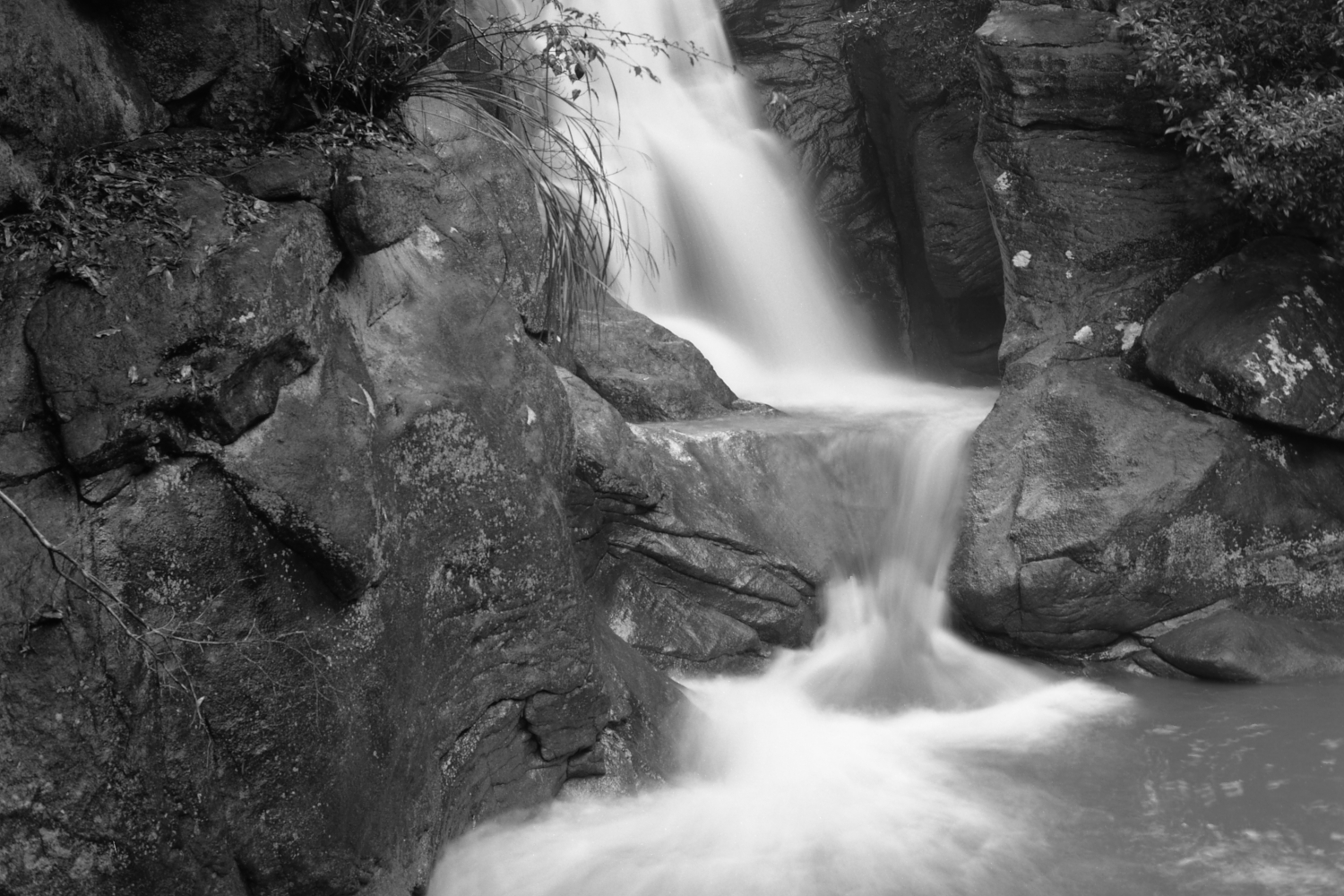 MAMIYA C330S/MAMIYA SEKOR S 80mmf2.8/Fuji neopan acros100
