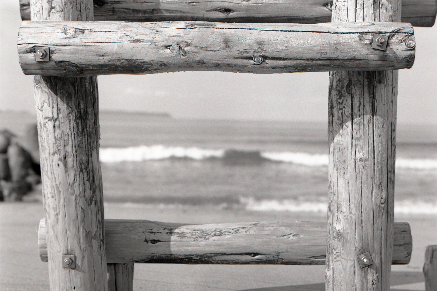 MAMIYA C330S/MAMIYA SEKOR S 80mmf2.8/Fuji neopan acros100