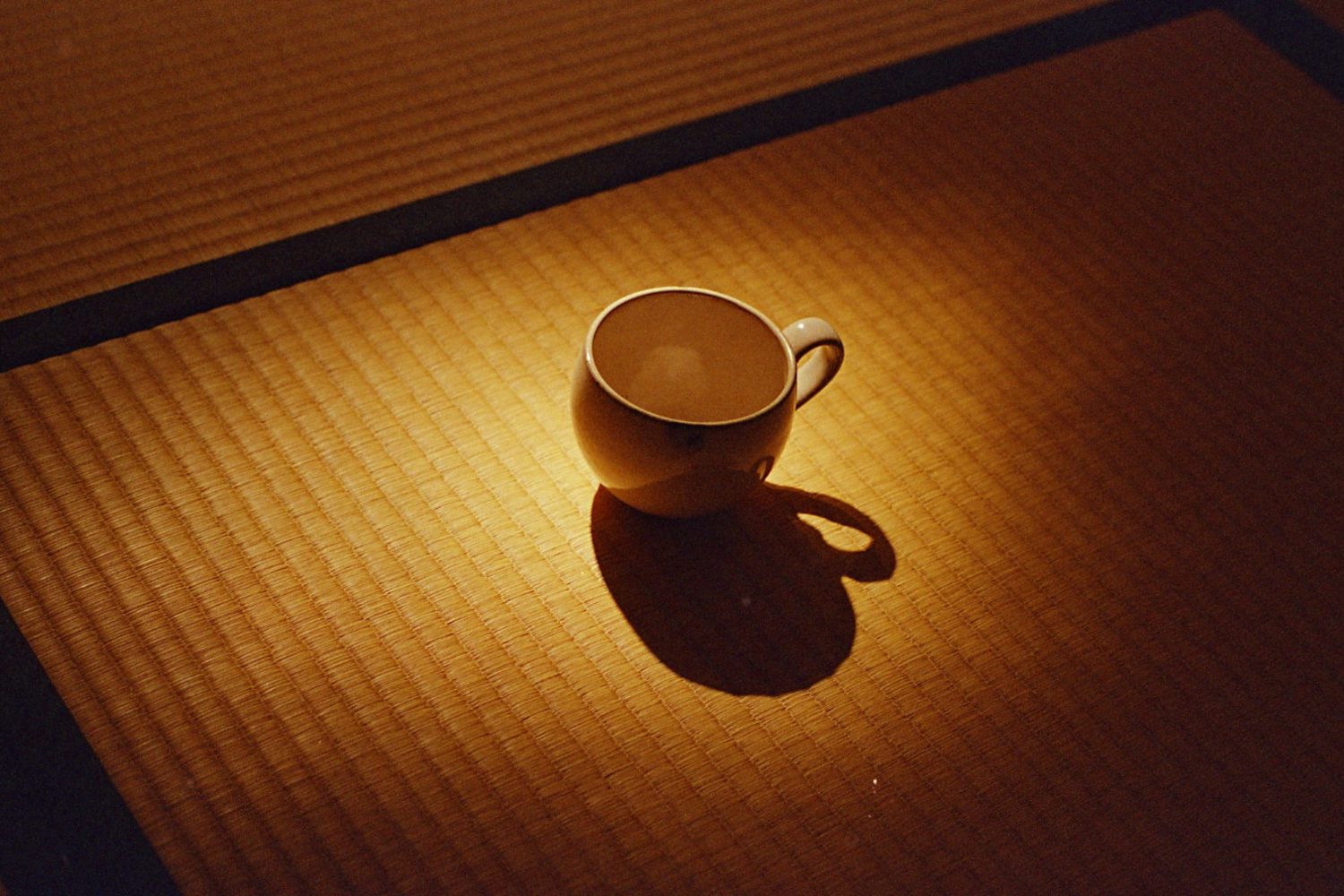 Olympus om-1 /olympus om-system zuiko mc auto-s 50mm f1.4,kodakultramax400