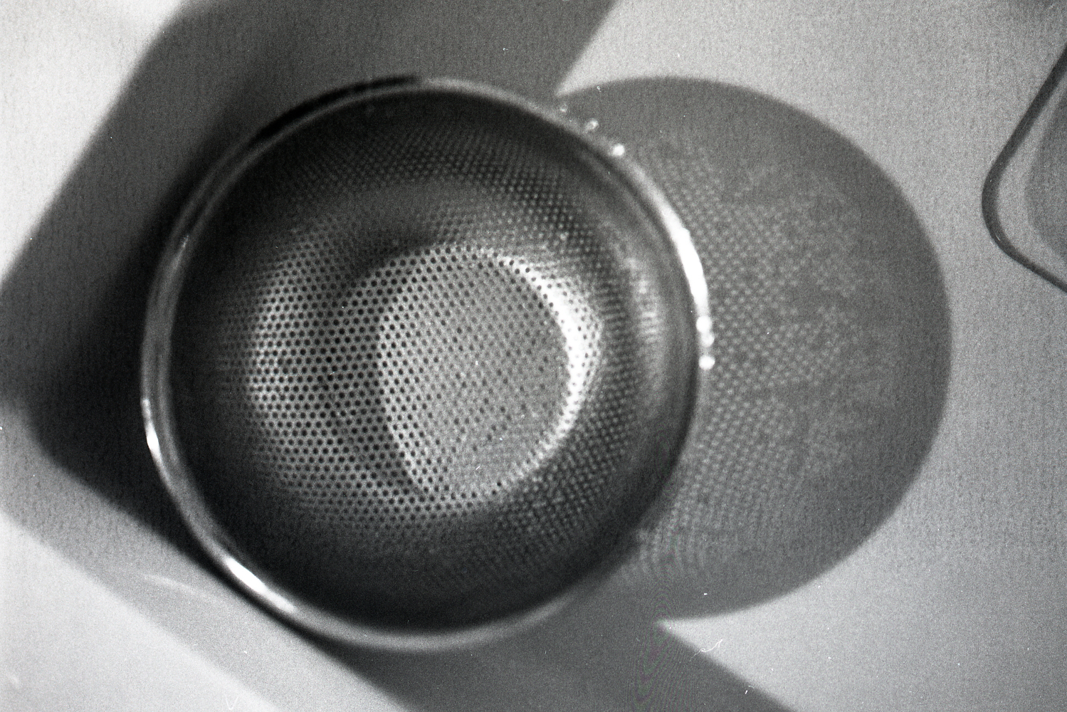 MAMIYA C330S/MAMIYA SEKOR S 80mmf2.8で撮影した ILFORD hp5 plus