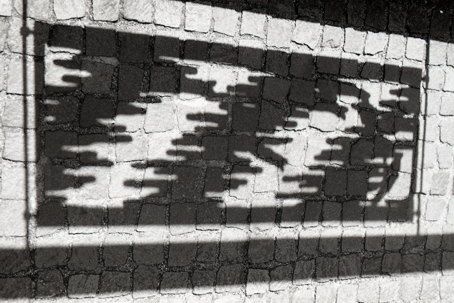 Asahi pentax spf/smc takumar 50mmf1.4/oriental newseagull100