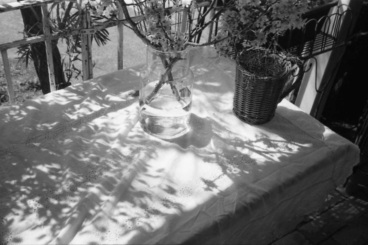 Rollei 35s /sonnar 40mm f2.8 /oriental newseagull400